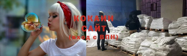 гидра Армянск