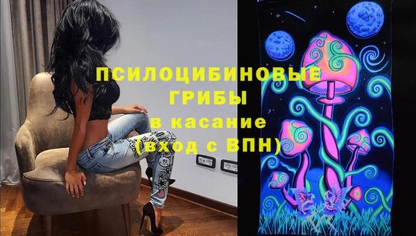 каннабис Аркадак