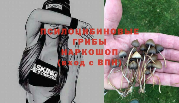 гидра Армянск