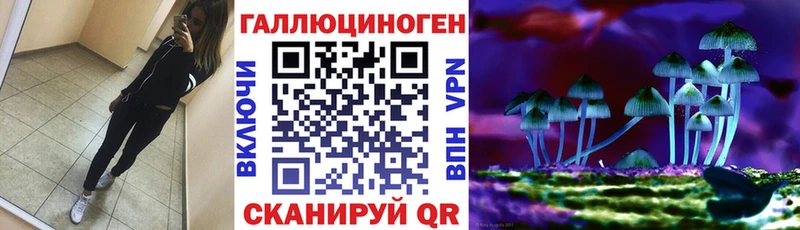 Галлюциногенные грибы Psilocybe  Валдай 